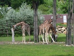 NÁVŠTĚVA ZOO PLZEŇ