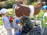 Pohodové dopoledne na farmě u Moulisů