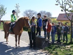 Pohodové dopoledne na farmě u Moulisů