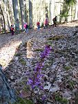 Výpravy turistického kroužku v 2. pololetí - Přírodní park Kamínky