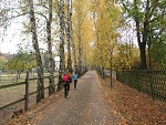 Podzimní výlety turistického kroužku - Březina