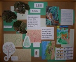 Les – 2. ročník