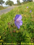 2. Vendula Kosnarová 7. A Polní květina