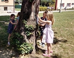 Strom – svátek stromů – lípa